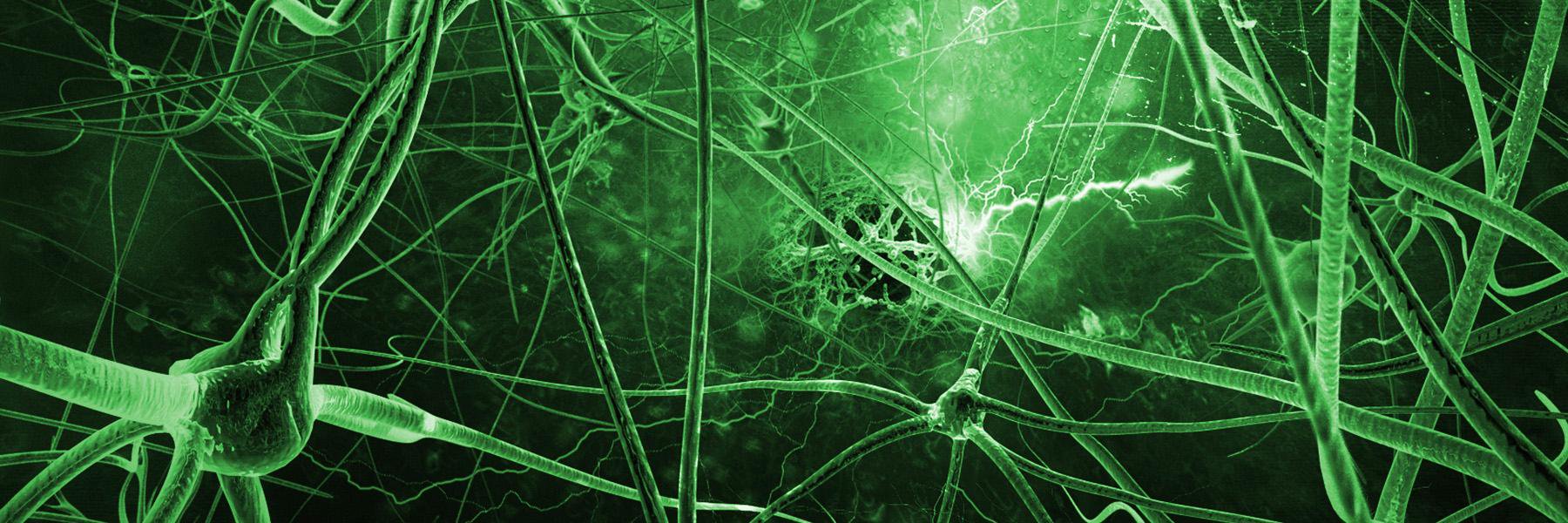 SmartDrugSmarts's profile banner image