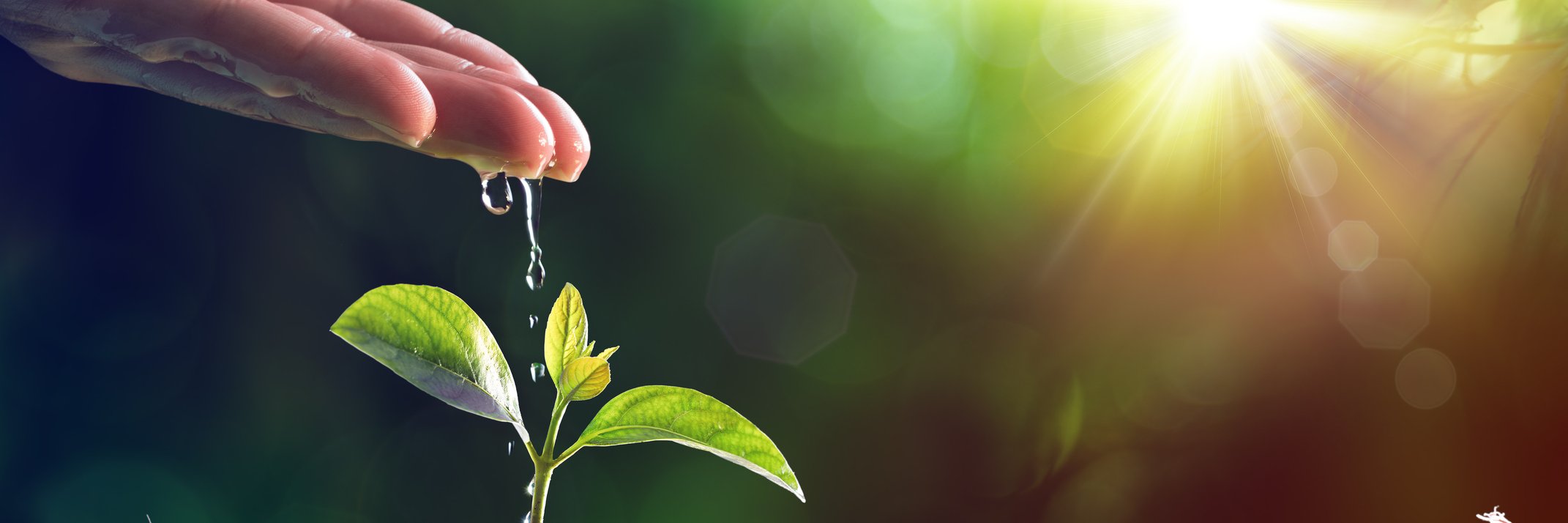 GAIA-Projects banner