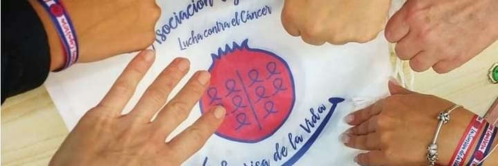 A.C.La Sonrisa de la Vida banner