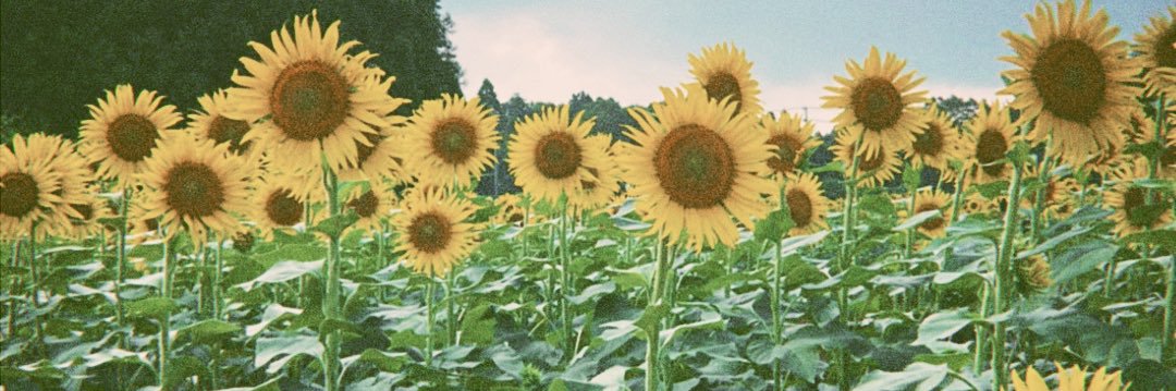 my_bears19's profile banner image