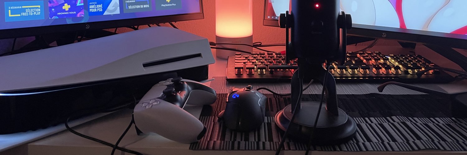 VLasfargues's profile banner image