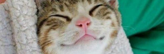 johny3ion's profile banner image