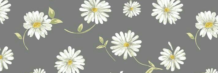 jilirojee's profile banner image