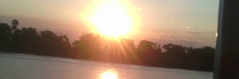 Dr🤣Rose Musorosta banner