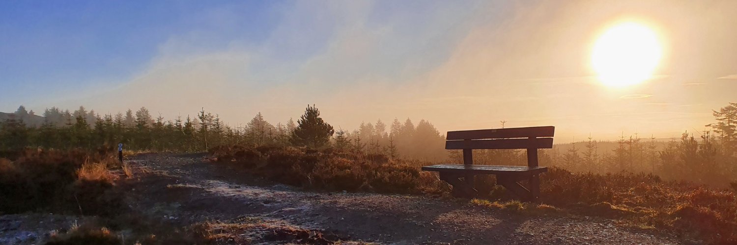 Michelle Tierney banner