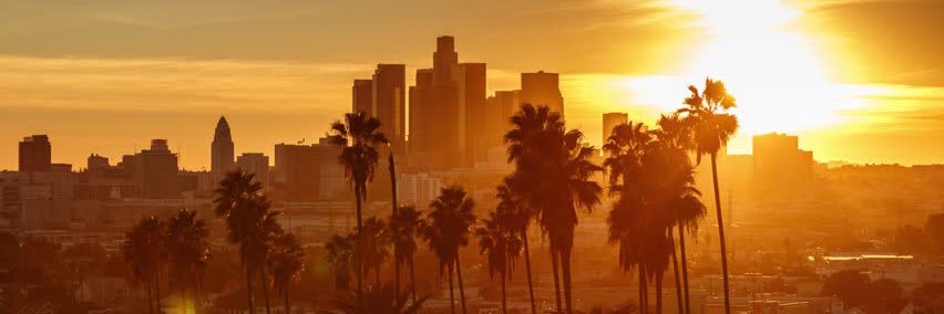 Steve Brew💥 banner