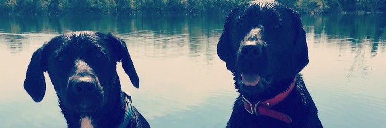Kirst416's profile banner image