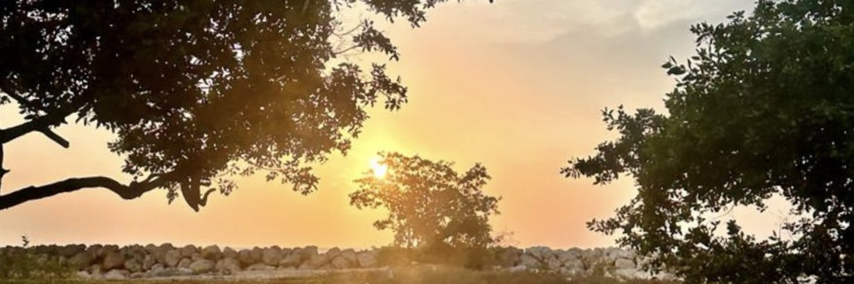 Janer Galván banner