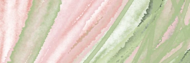 sloridia's profile banner image