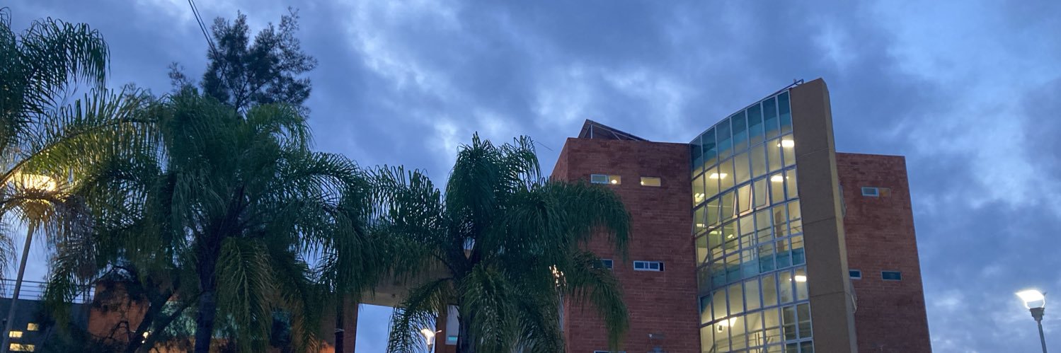 ppluisulloa's profile banner image