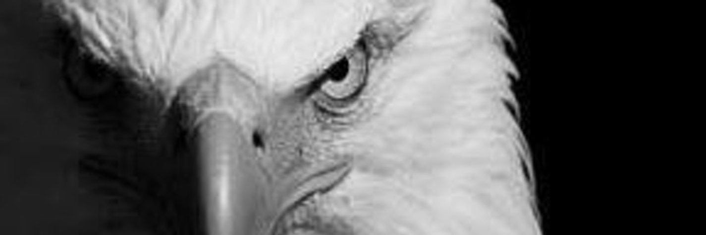 Avfattasyedek's profile banner image