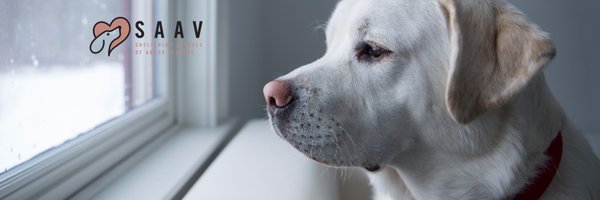 SAAVProgram Profile Banner