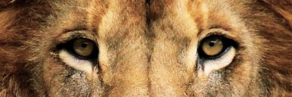 matthewcore's profile banner image