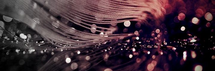 CherryB2219's profile banner image