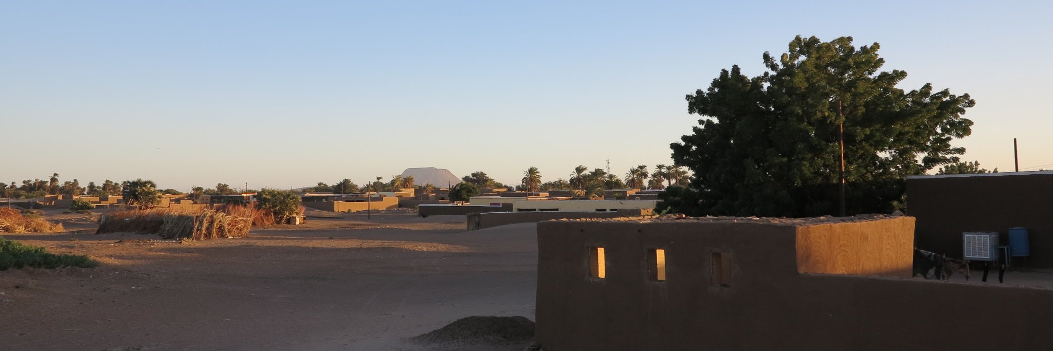 Philippa Ryan banner