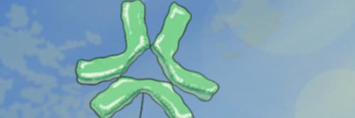 CaptainRi123's profile banner image