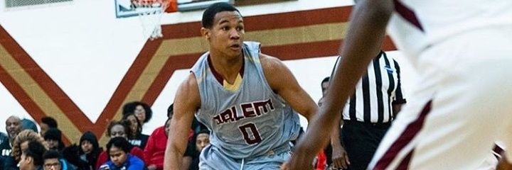 Concrete Jungle456 banner