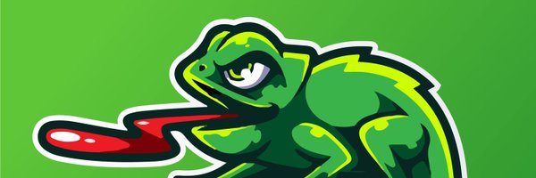 LizardLick_Gaming Profile Banner