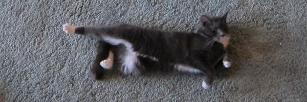 SondreLinde Profile Banner