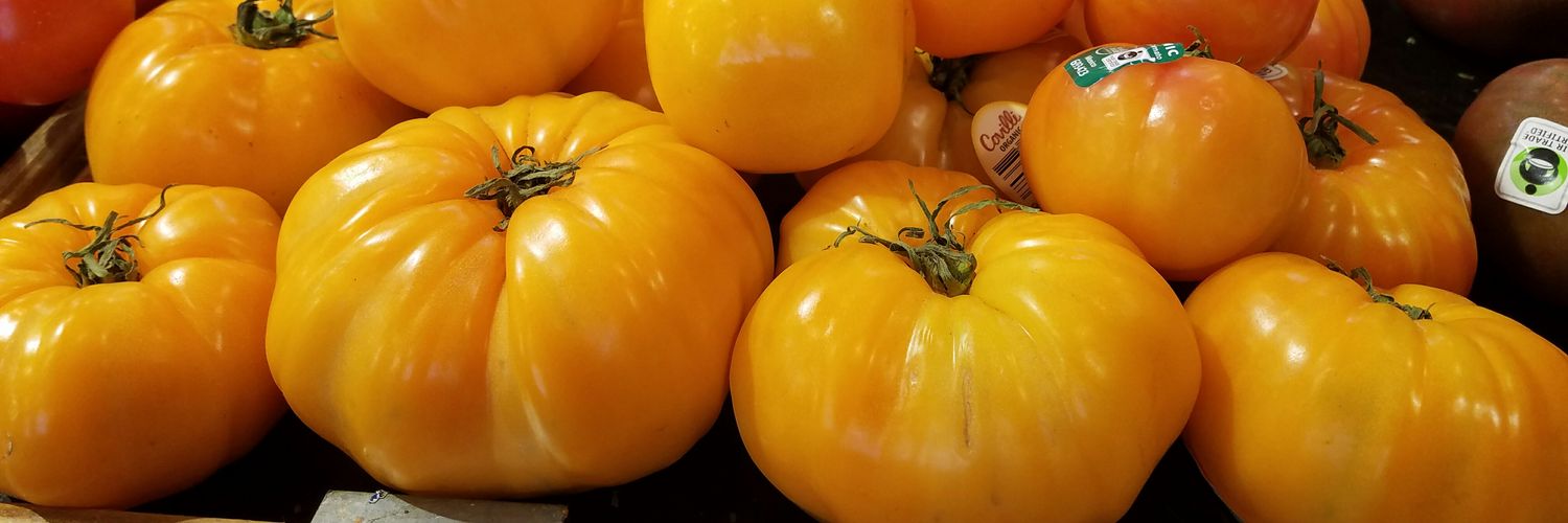 Gabriel Chavez banner