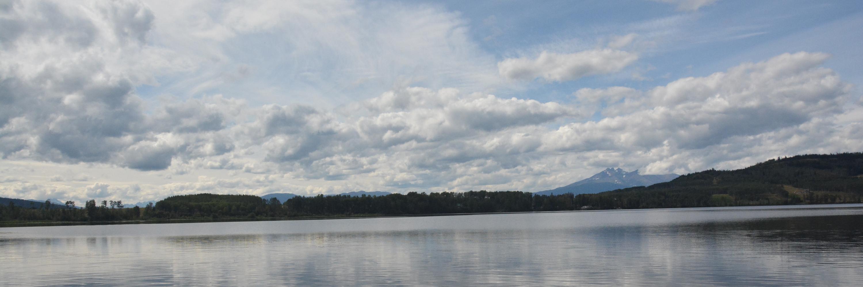 LisaMConnor's profile banner image