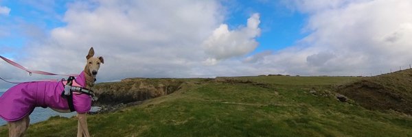 thomasreginald6 Profile Banner