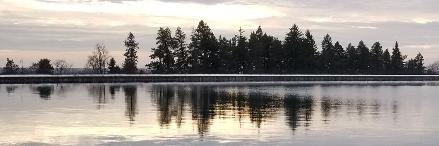 leeleeResists's profile banner image
