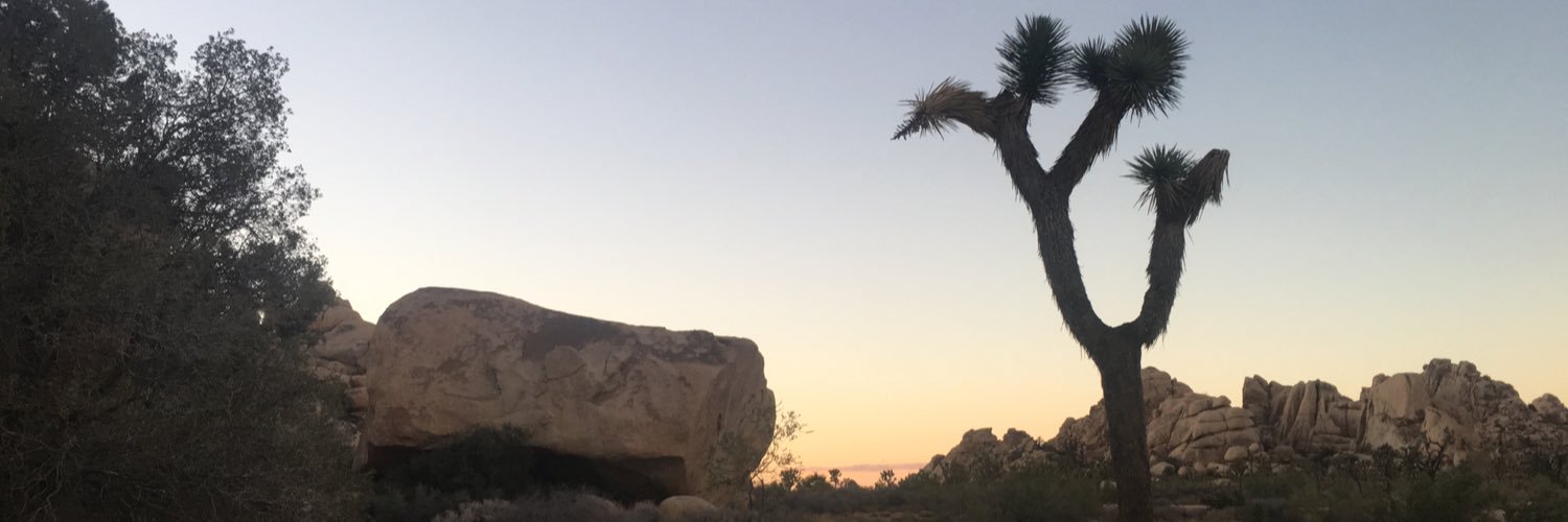 surfing8601's profile banner image