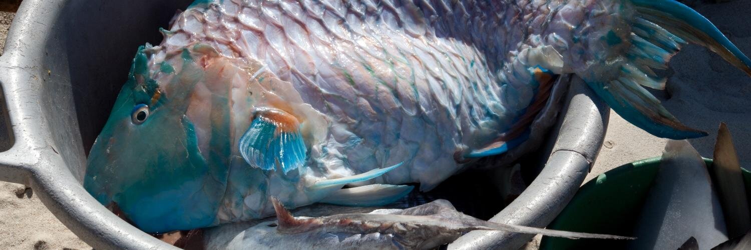 C3 Conservation banner