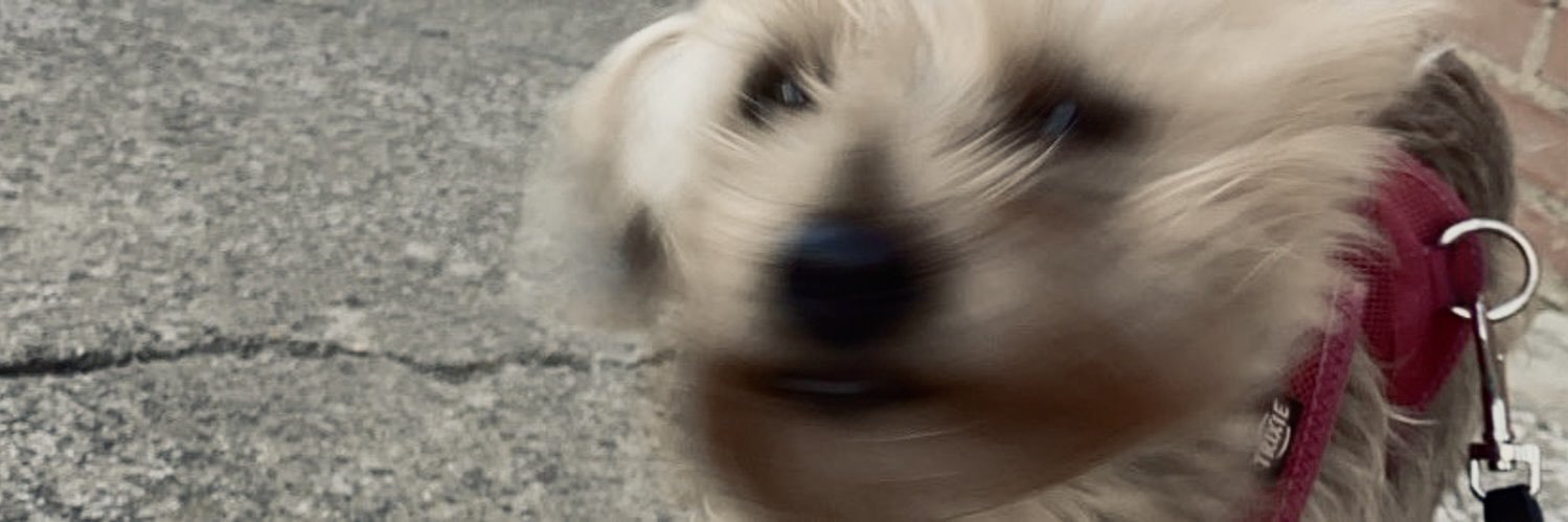 ℳarta ℒópez (fan account de nalis) banner