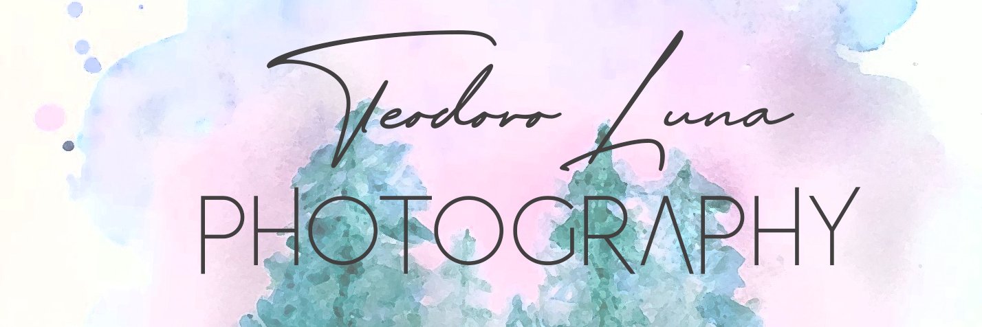 TeddyLunaPhotos's profile banner image