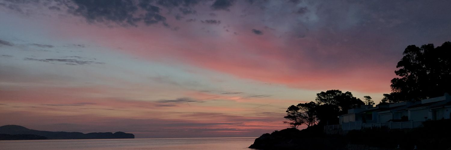 salvalcon1's profile banner image