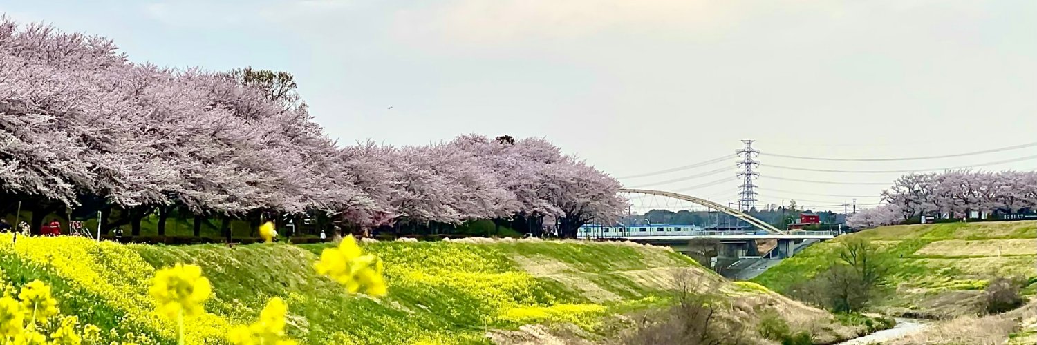 shigerumisaka's profile banner image