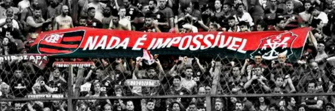 TarcillaAssis's profile banner image