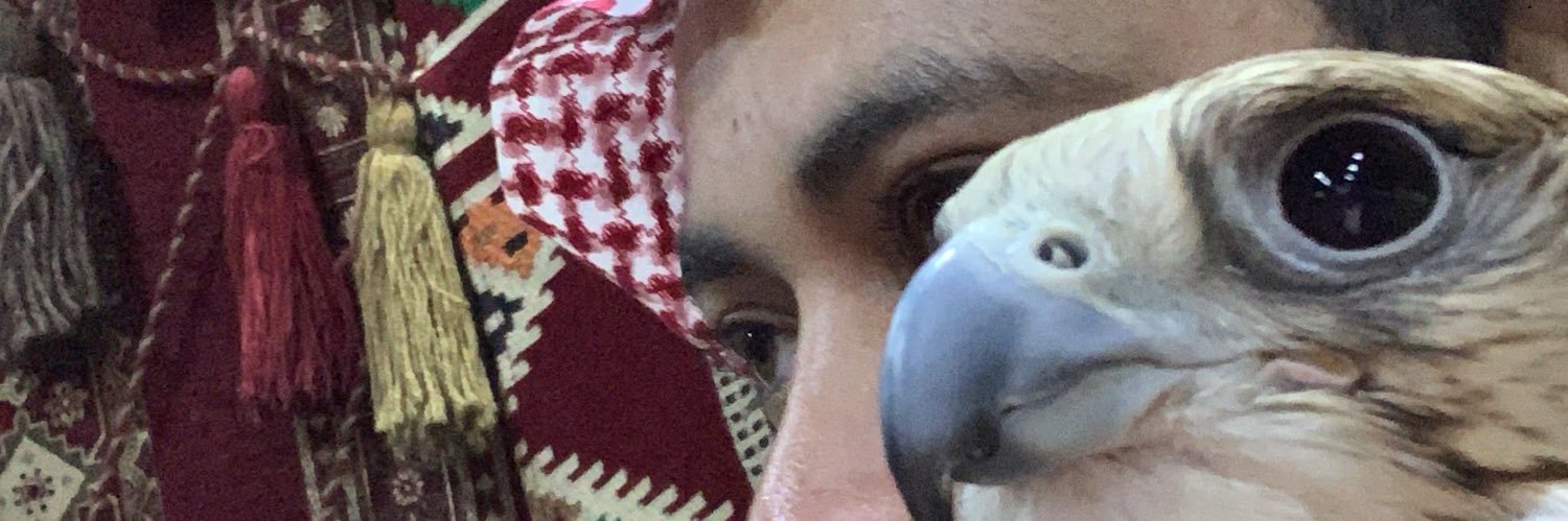 falah720's profile banner image
