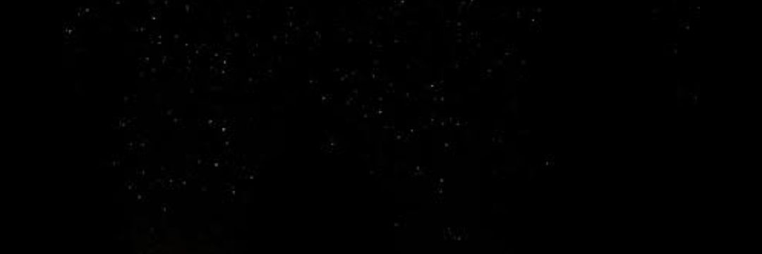 ViannetDR's profile banner image
