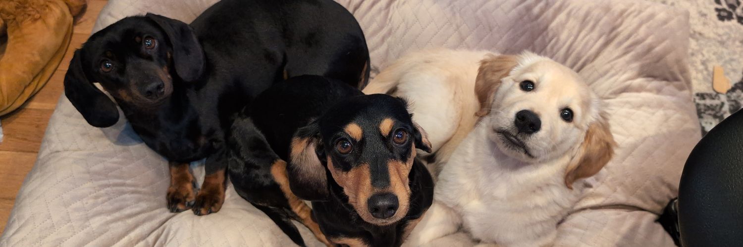 Christian Reggie Wait banner