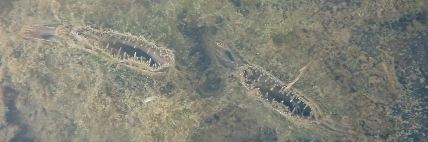 タがイ🟠も💉も百害あって一利なし banner