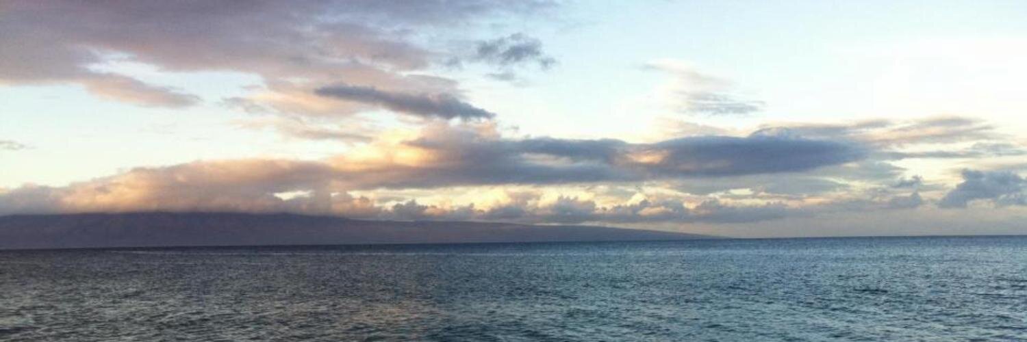 pinganne's profile banner image