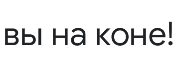 tolyanedelko's profile banner image