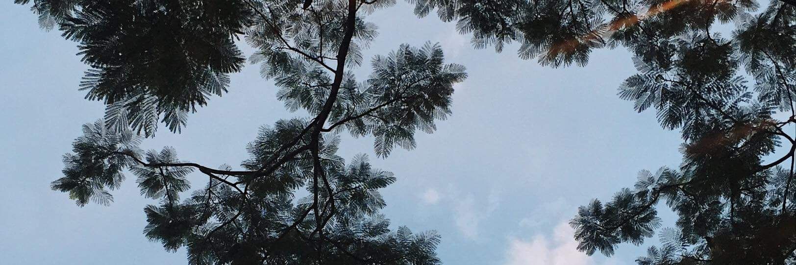 Apinya_nt's profile banner image