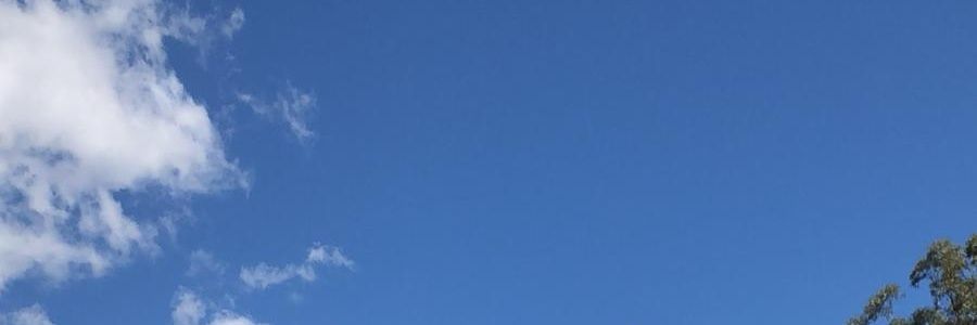 14_abhijit's profile banner image