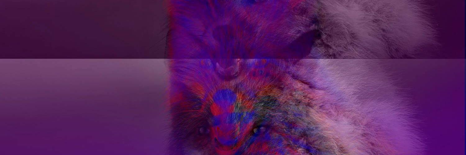 Sp00kyTea's profile banner image