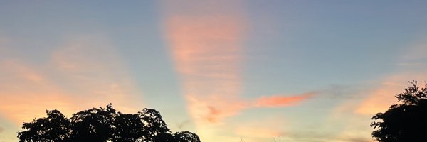 lushthaa Profile Banner