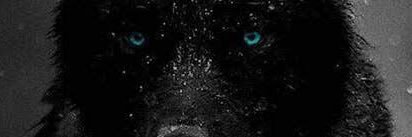 MrLoveBelow's profile banner image