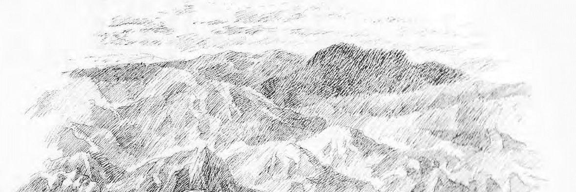 Domhee1011's profile banner image