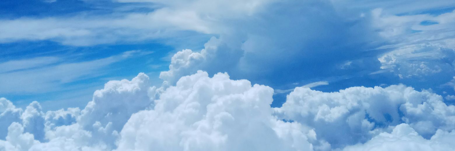 Ladrinaline 🍉 banner