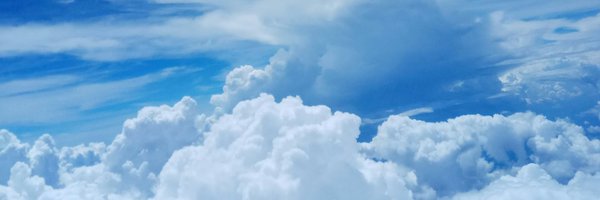 Ladrinaline Profile Banner