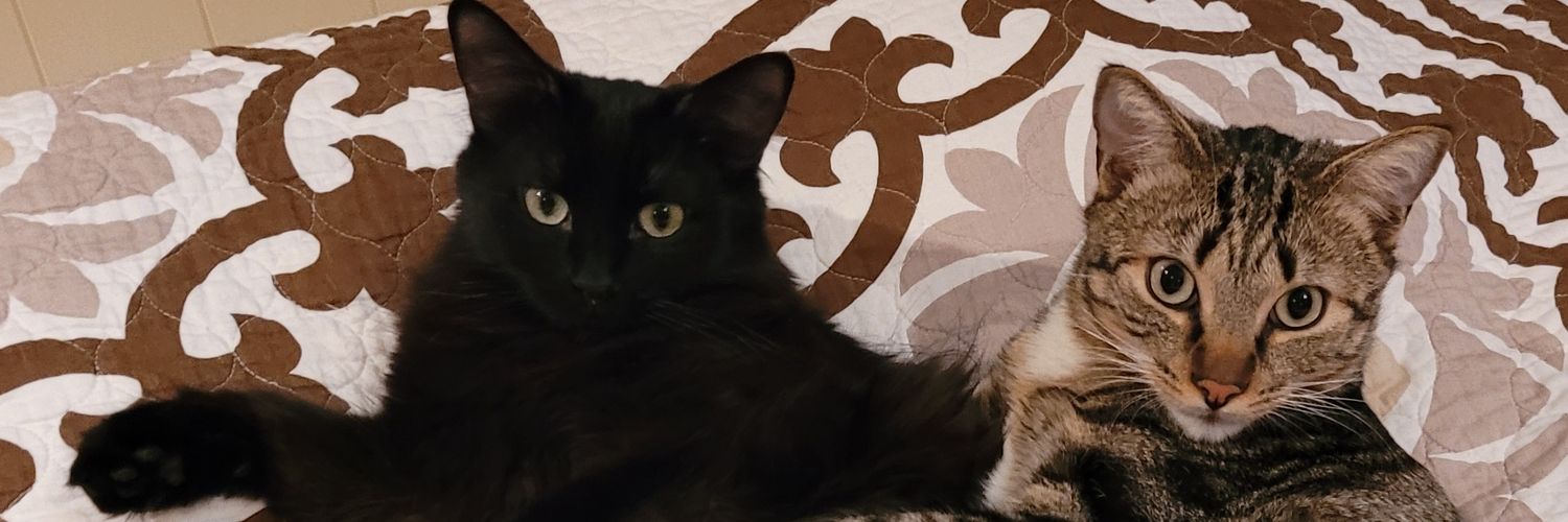 yourfriendjorg's profile banner image