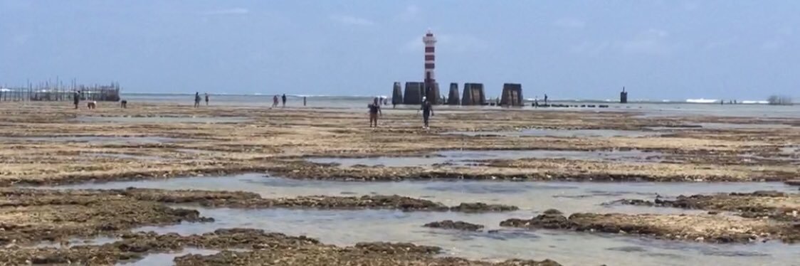 Eu 👉🏻Bê 🧙🐉 banner